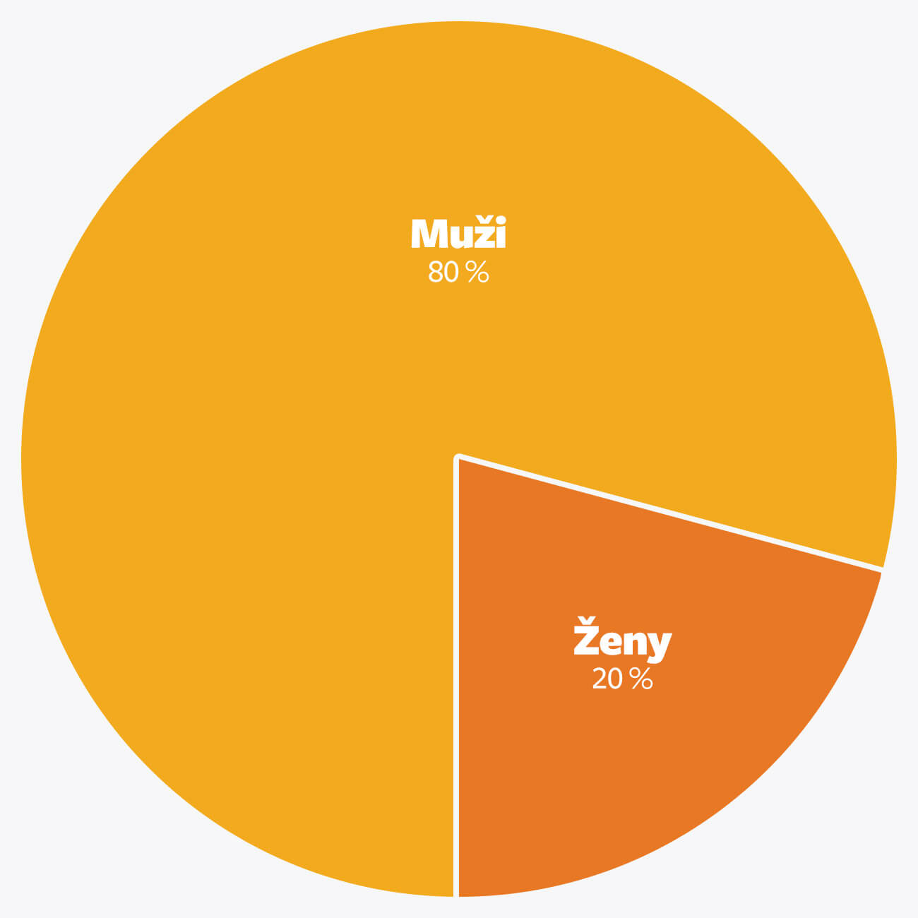 Podiel dopravných nehôd muži vs ženy