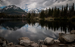 Poistenie do hôr - Slovensko